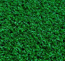 Golf 12mm
